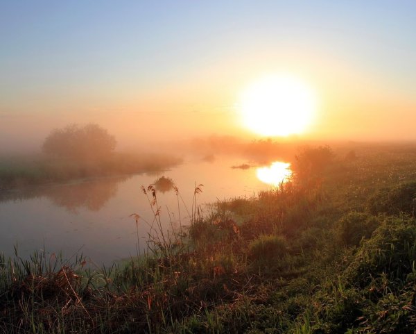 Солнце в тумане