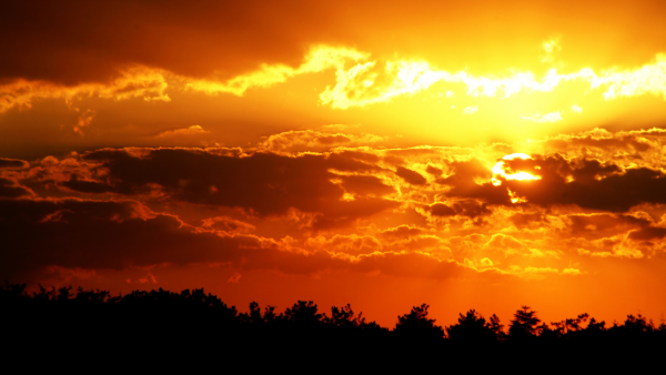 Фон природа