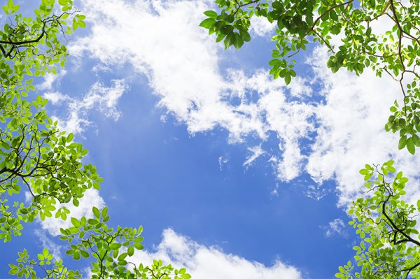 Детские фоны