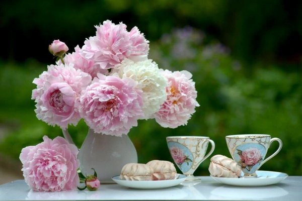 Пионовое настроение