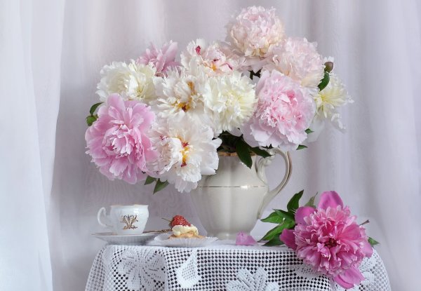 Пионовый сад Орегон