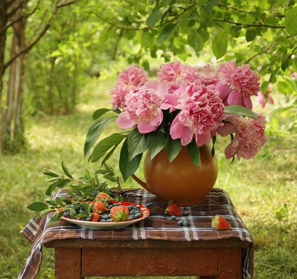 Цветы на окне