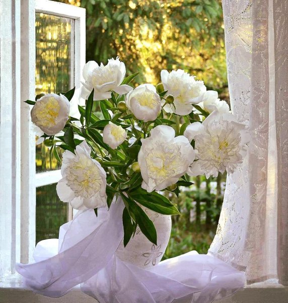 Рододендрон в горах Монти-Сибиллини