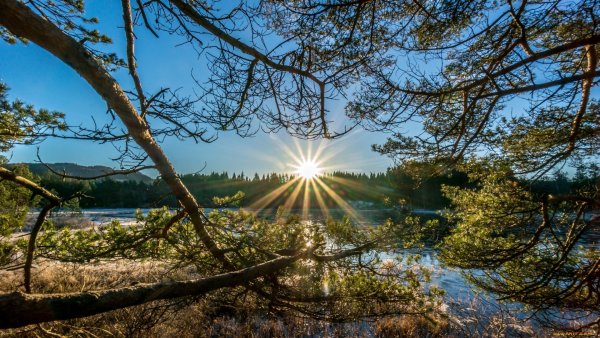 Красивый рассвет