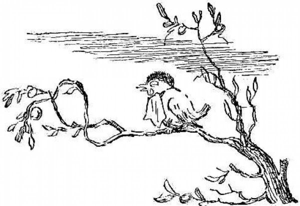 Крокодил сбоку рисунок