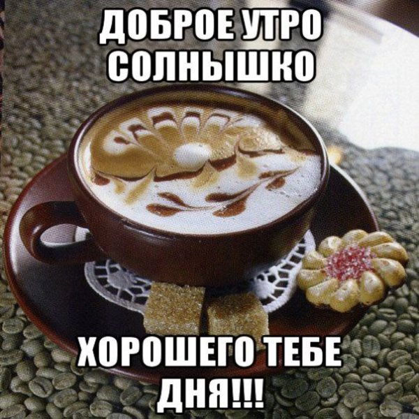 Доброе утро солнышко мужчине