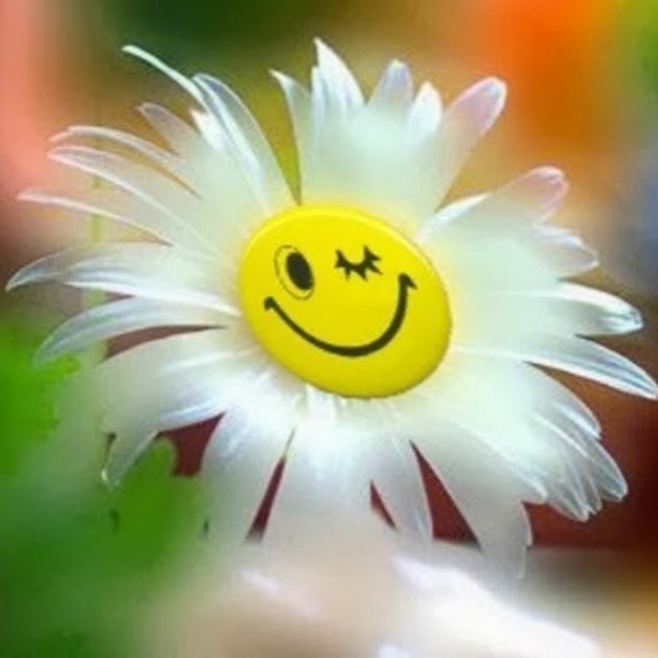 Солнечного дня пожелания