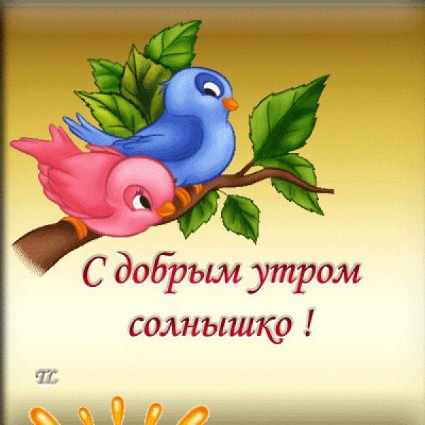 Доброе утро солнышко