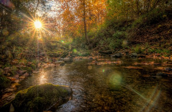 Рассвет ручей