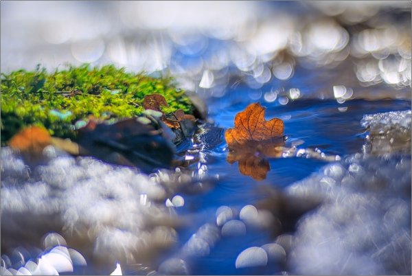 Весна ручейки солнце