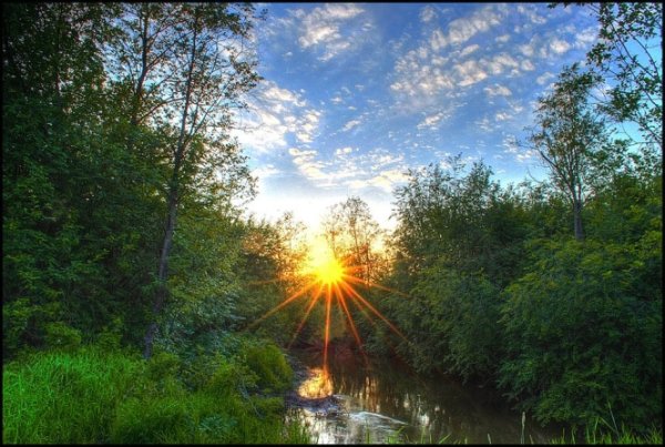 Утро солнце ручей