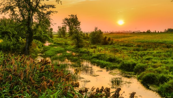 Родник ааштопф Германия