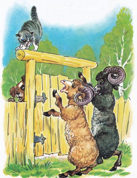 Краденое солнце Дувидов