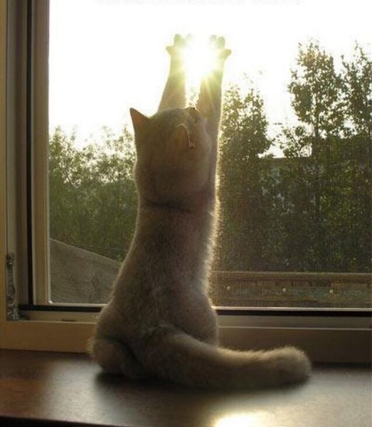 Солнца и тепла