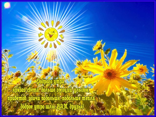 Позитивные цветы