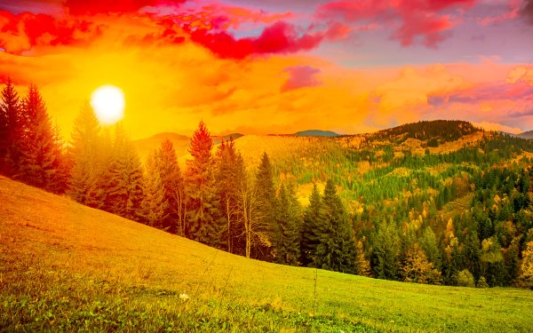 Солнечный пейзаж