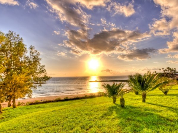 Солнечный пейзаж