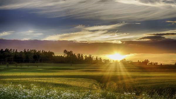 Утренний рассвет