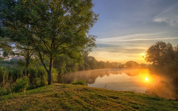 Утренняя природа