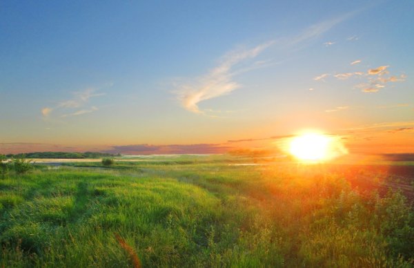 Восход в поле