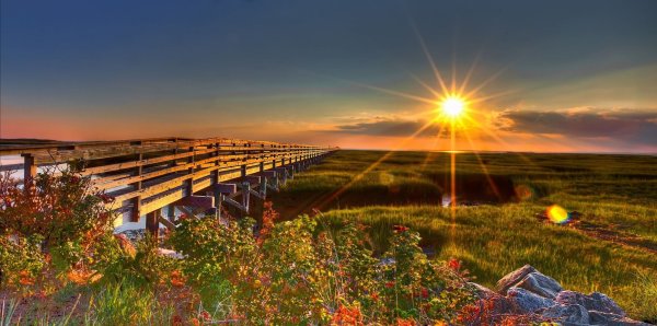 Красивая природа рассвет