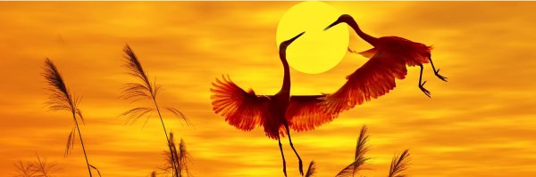 Картины с журавлями по фен шуй