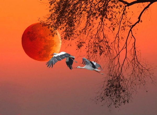 Художник Бессонов Сергей Аисты