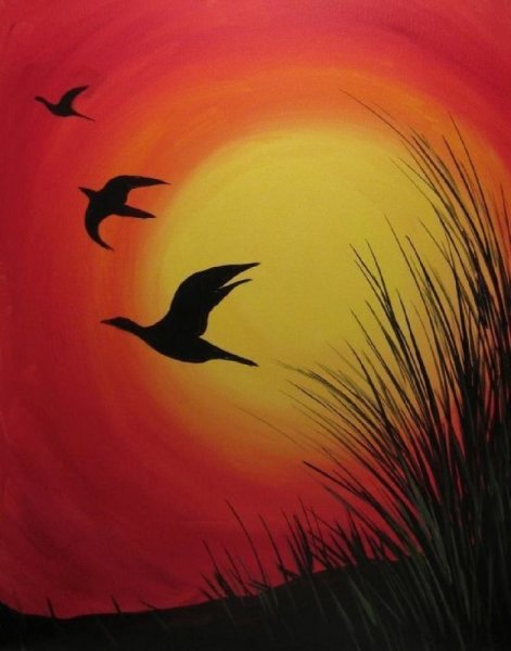 Птицы на закате