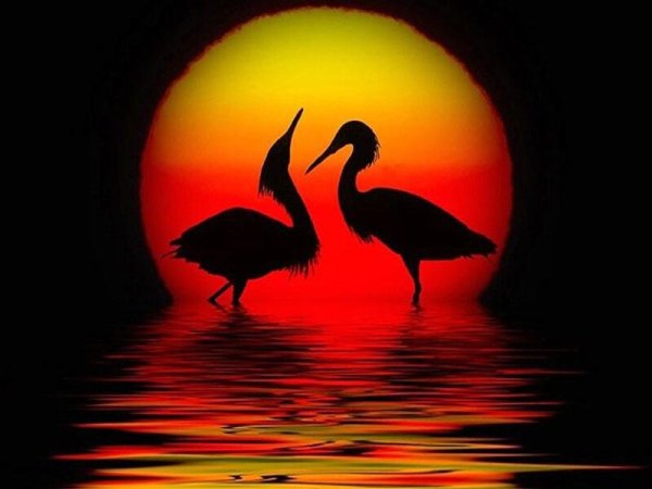 Журавл живопись Япония