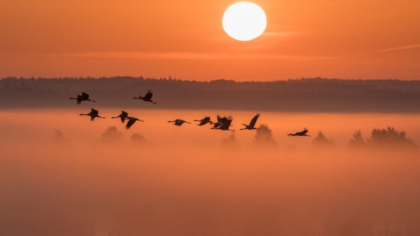 Журавлиный Клин осенью