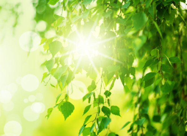 Осень солнце