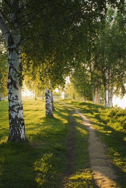 Небо солнце радость