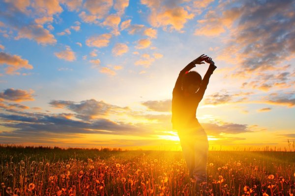 Утреннее окно