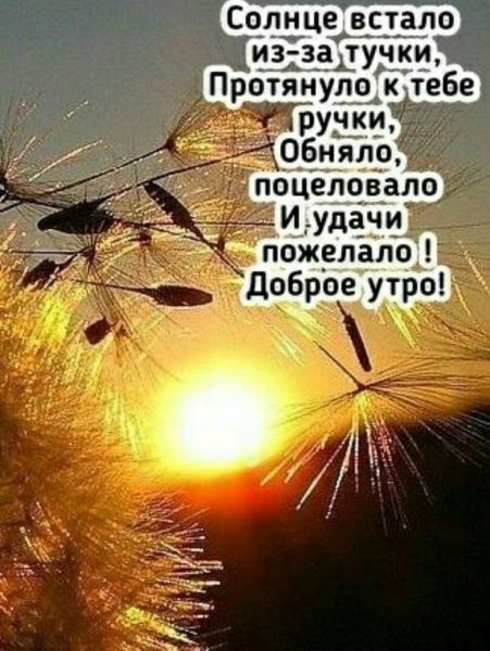 Доброе утро благословенного дня