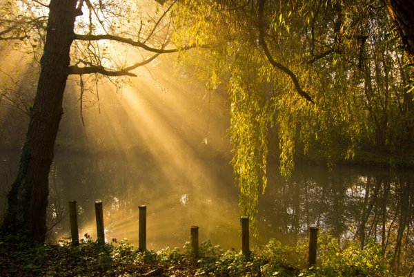 Лучи солнца