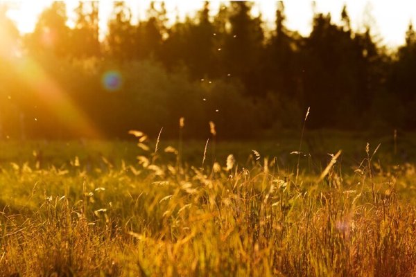 Лучики солнца