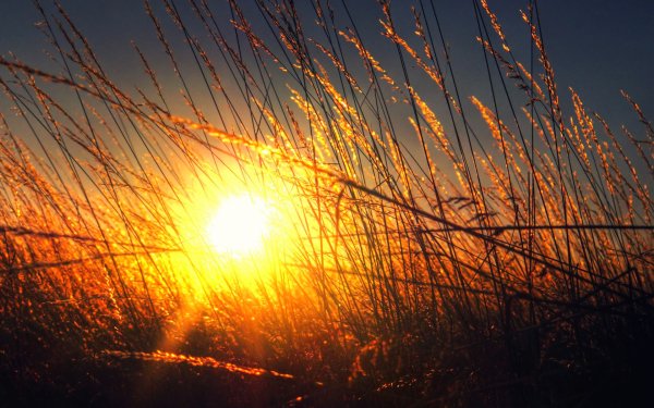 Красивое солнце