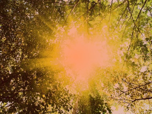 Яркое солнце