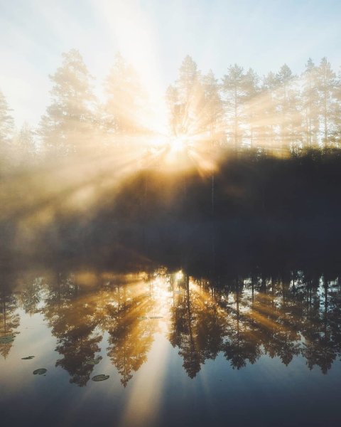 Золотое солнце