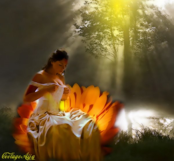 Пожелания с добрым у Ром