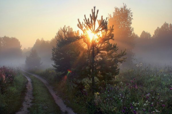 Утро Скандинавия Норвегия