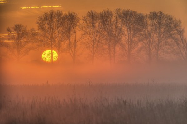 Картина Эдварда Грига утро.Восход солнца