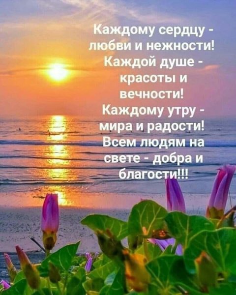 Красивые поздравления с добрым утром природа