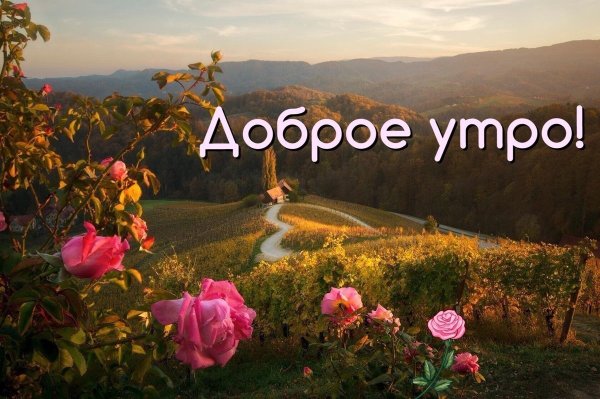Красивый рассвет