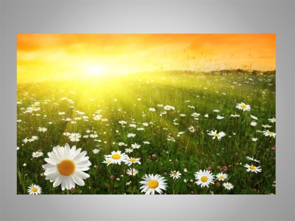 Явления природы осенью для дошкольников