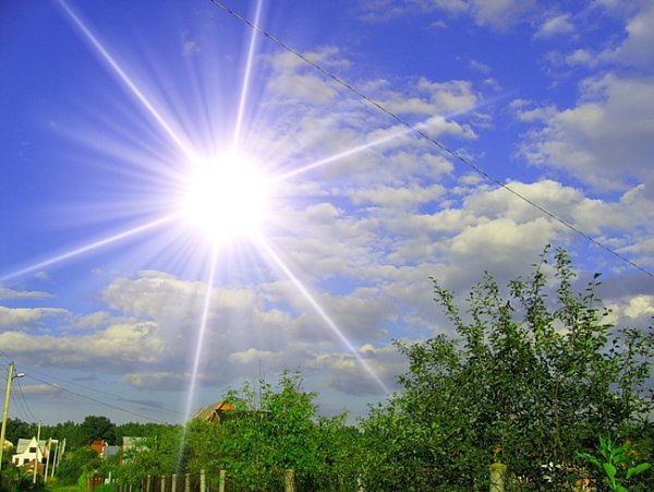 Солнце светит ярче и теплее