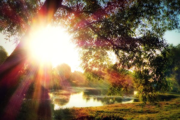 Солнышко улыбается