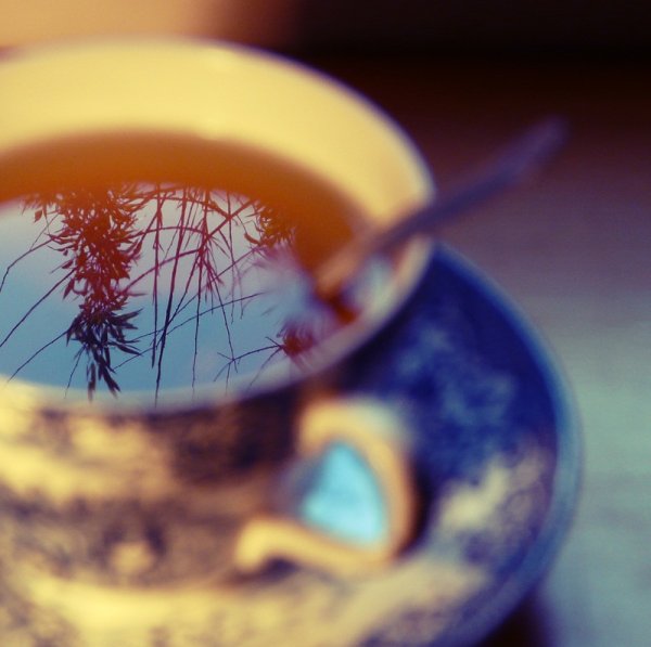 Чашка чая на солнце