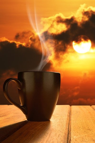 Ромашковое утро