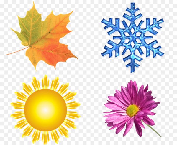 Снежинка на солнце